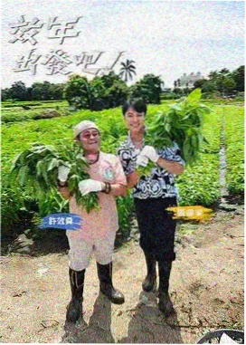 芒果影院综艺现场:夜晚的路标音乐会剧照